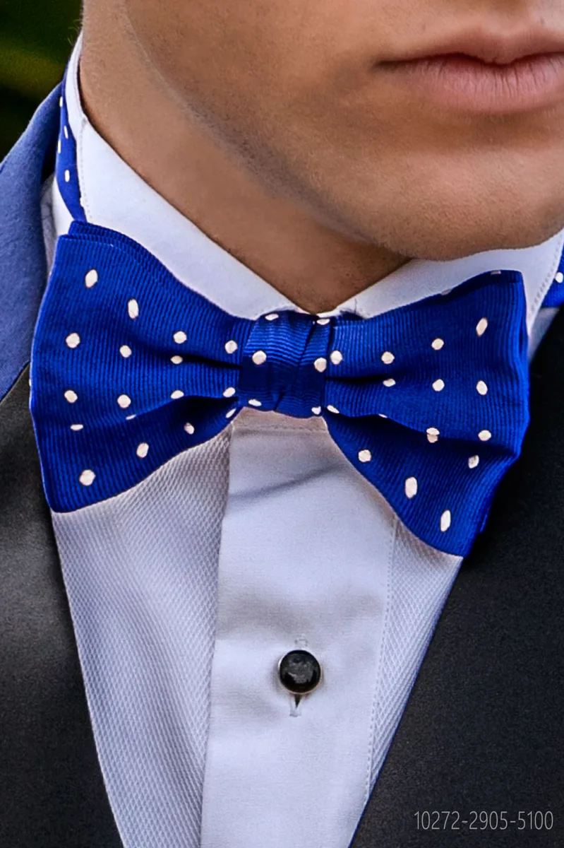 Papillon annodato blu pura seta con pois