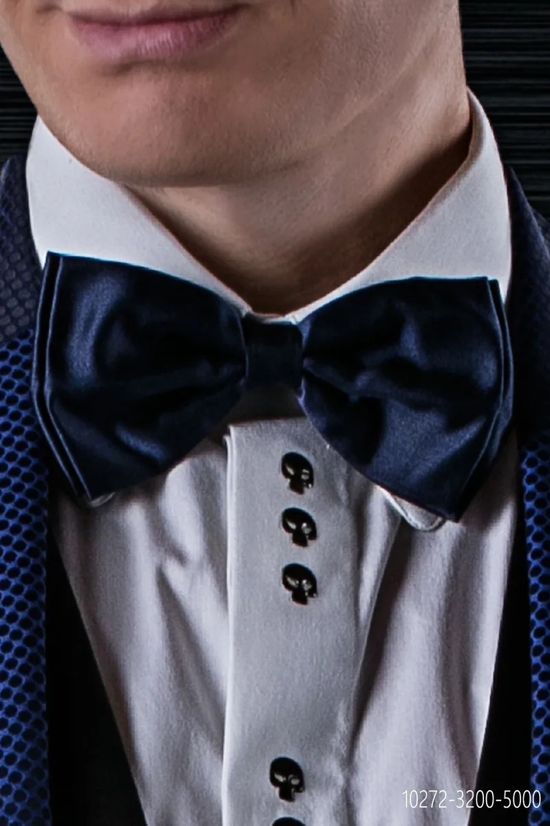 Papillon in seta blu