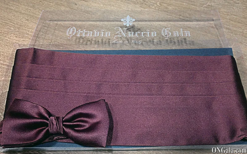 Fascia e Papillon in poliestere rosso