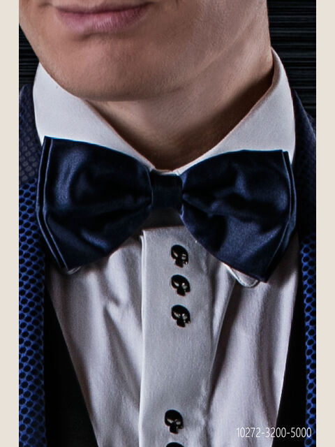 Papillon in seta blu