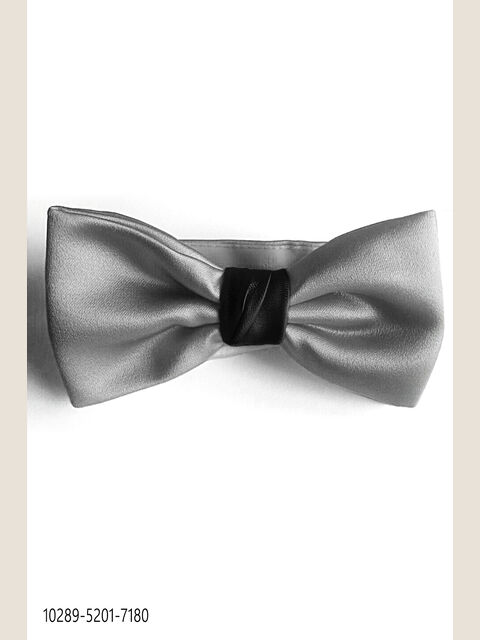 Papillon bicolore raso grigio e nero
