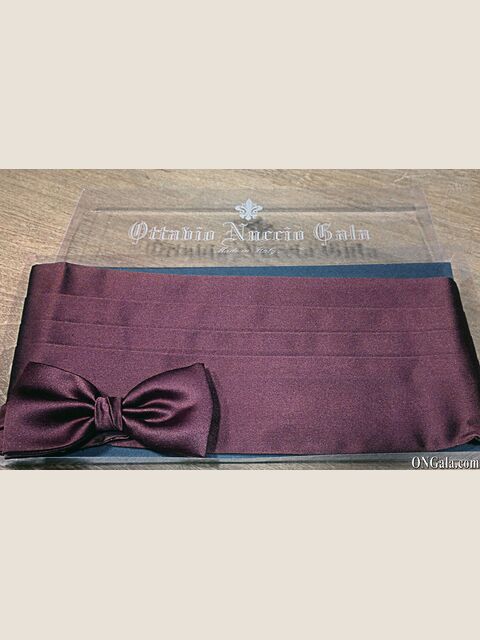 Fascia e Papillon in poliestere rosso