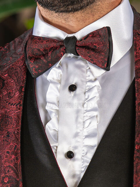 Papillon bicolore jacquard damascato bordeaux